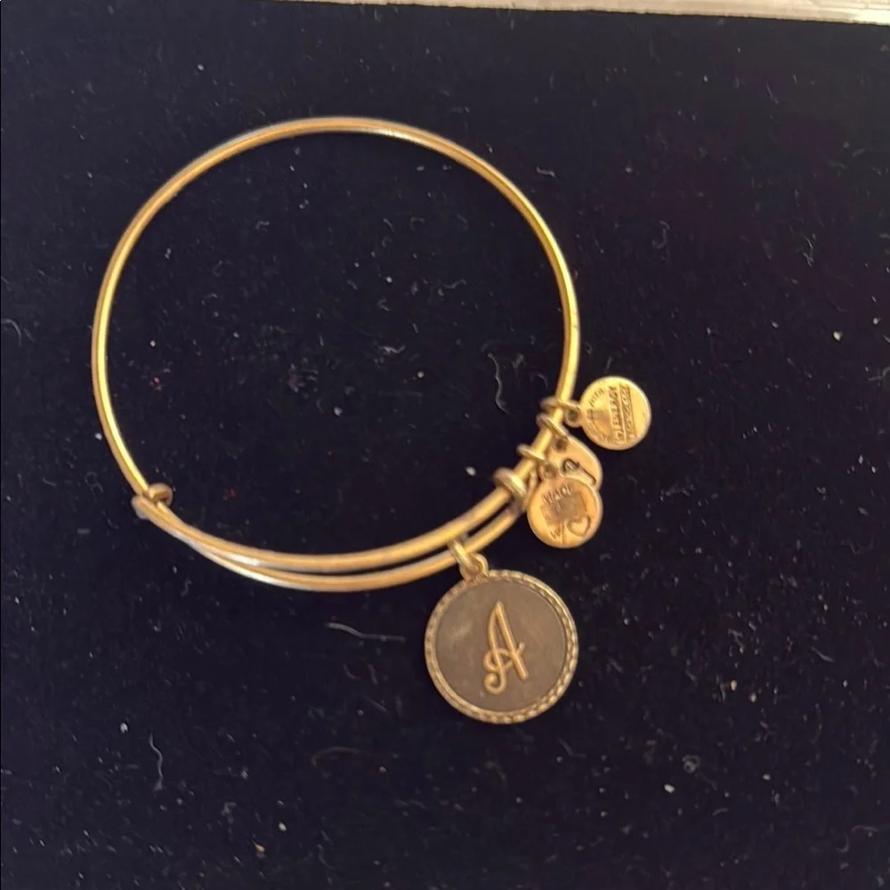 Alex and Ani Gold Charm Bracelet